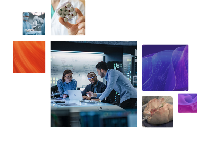 Business Development